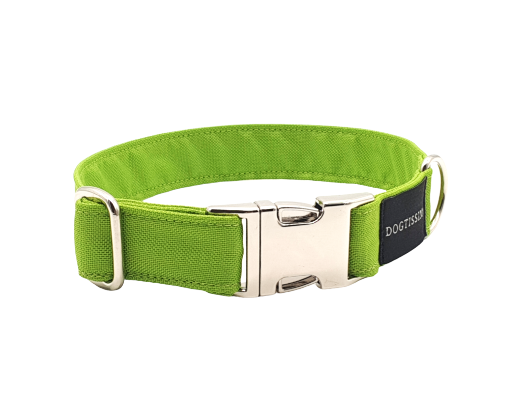 Halsbänder Eibau, Dogtissimo Halsbänder, Hundehalsband kaufen, Individualisiertes Halsband, Hundeleine, Geschenkidee Hund, Halsband kaufen