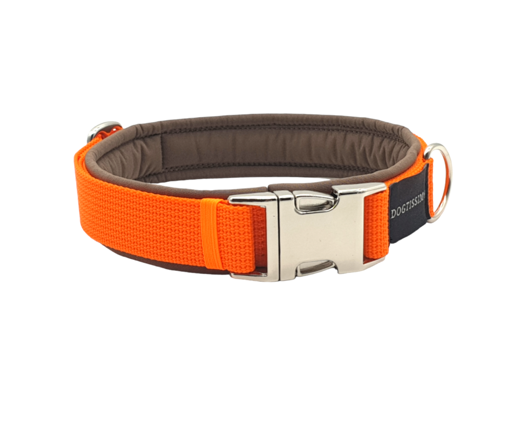 Individualisiertes Halsband, Halsbänder Eibau, Geschenkidee Hund, Halsband kaufen, Hundeleine, Dogtissimo Halsbänder, Hundehalsband kaufen
