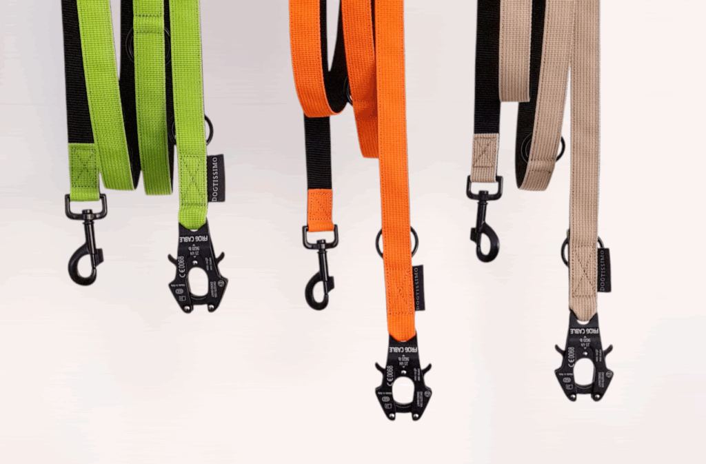 Halsbänder Eibau, Hundeleine, Halsband kaufen, Dogtissimo Halsbänder, Individualisiertes Halsband, Geschenkidee Hund, Hundehalsband kaufen