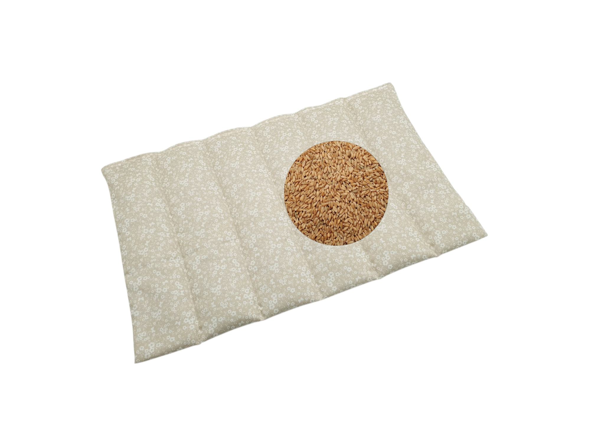 Dogtissimo Halsbänder, Halsband kaufen, Individualisiertes Halsband, Halsbänder Eibau, Geschenkidee Hund, Hundehalsband kaufen, Hundeleine