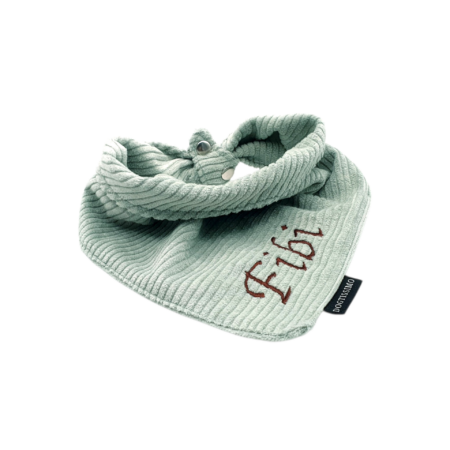 Halsbänder Eibau, Hundehalsband kaufen, Individualisiertes Halsband, Dogtissimo Halsbänder, Halsband kaufen, Hundeleine, Geschenkidee Hund