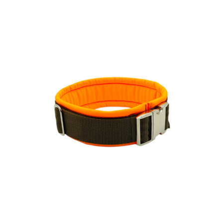 Halsband kaufen, Hundehalsband kaufen, Geschenkidee Hund, Dogtissimo Halsbänder, Individualisiertes Halsband, Hundeleine, Halsbänder Eibau